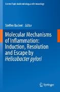 Molecular Mechanisms of Inflammation: Induction, Resolution and Escape by Helicobacter pylori