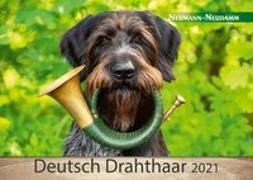 Deutsch Drahthaar 2021