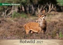 Rotwild 2021