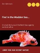 Fire! In the Wadden Sea
