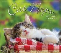 2021 Cat Naps Boxed Daily Calendar