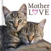 Mother Love (Cats)