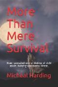 More Than Mere Survival: How I prevailed over a lifetime of child abuse, bullying and mental illness