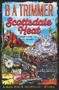 Scottsdale Heat: a fun, romantic, thrilling, adventure