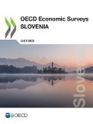 OECD Economic Surveys: Slovenia 2020