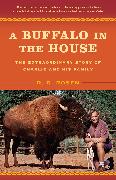A Buffalo in the House