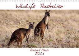 Wildlife Australien (Wandkalender 2021 DIN A3 quer)