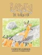 Barney the Dublin Fox