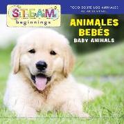 Baby Animals/Animales de Bebe