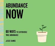 Abundance Now: 60 Ways to Experience True Abundance