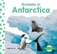 Animals in Antarctica