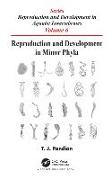 Reproduction and Development in Minor Phyla