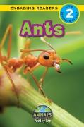 Ants