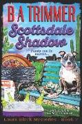 Scottsdale Shadow: a fun, romantic, thrilling, adventure