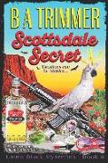Scottsdale Secret: a fun, romantic, thrilling, adventure