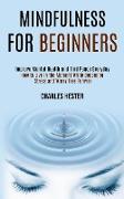 Mindfulness for Beginners