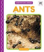 Ants