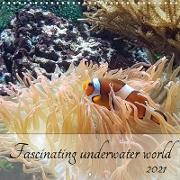 Fascinating underwater world (Wall Calendar 2021 300 × 300 mm Square)