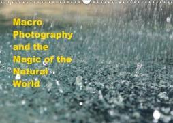 Macro Photography and the Magic of the Natural World (Wall Calendar 2021 DIN A3 Landscape)
