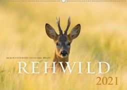 Rehwild 2021 (Wandkalender 2021 DIN A2 quer)