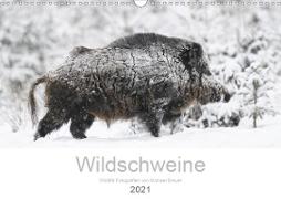 Wildschweine 2021 (Wandkalender 2021 DIN A3 quer)