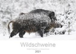 Wildschweine 2021 (Tischkalender 2021 DIN A5 quer)