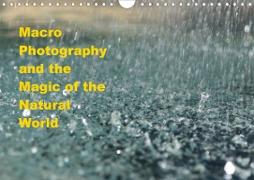 Macro Photography and the Magic of the Natural World (Wall Calendar 2021 DIN A4 Landscape)