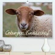 Coburger Fuchsschaf (Premium, hochwertiger DIN A2 Wandkalender 2021, Kunstdruck in Hochglanz)