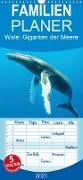Wale: Giganten der Meere - Familienplaner hoch (Wandkalender 2021 , 21 cm x 45 cm, hoch)