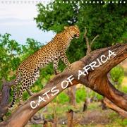 CATS OF AFRICA (Wall Calendar 2021 300 × 300 mm Square)