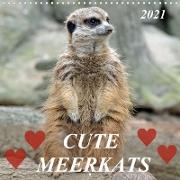 Cute meerkats (Wall Calendar 2021 300 × 300 mm Square)