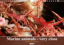 Marine animals - very close (Wall Calendar 2021 DIN A4 Landscape)