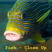 Fish - Close Up (Wall Calendar 2021 300 × 300 mm Square)