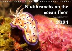 Nudibranchs on the ocean floor (Wall Calendar 2021 DIN A4 Landscape)