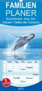 Buckelwale: Aus den blauen Tiefen der Ozeane - Familienplaner hoch (Wandkalender 2021 , 21 cm x 45 cm, hoch)