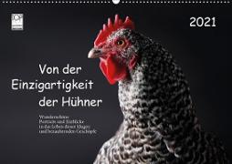 Von der Einzigartigkeit der Hühner 2021 (Wandkalender 2021 DIN A2 quer)