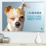 Chihuahua: Kleine Hunde, aber oho (Premium, hochwertiger DIN A2 Wandkalender 2021, Kunstdruck in Hochglanz)