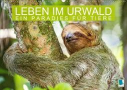 Leben im Urwald: ein Paradies für Tiere (Wandkalender 2021 DIN A2 quer)