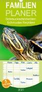 Schmuckschildkröten: Schmucke Reptilien - Familienplaner hoch (Wandkalender 2021 , 21 cm x 45 cm, hoch)