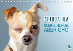 Chihuahua: Kleine Hunde, aber oho (Tischkalender 2021 DIN A5 quer)