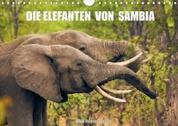 Die Elefanten von Sambia (Wandkalender 2021 DIN A4 quer)