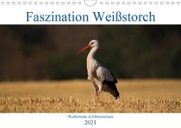 Faszination Weißstorch (Wandkalender 2021 DIN A4 quer)