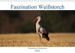 Faszination Weißstorch (Wandkalender 2021 DIN A3 quer)