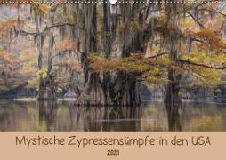 Mystische ZypressensümpfeAT-Version (Wandkalender 2021 DIN A2 quer)