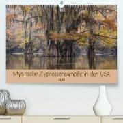 Mystische ZypressensümpfeAT-Version (Premium, hochwertiger DIN A2 Wandkalender 2021, Kunstdruck in Hochglanz)