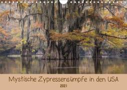 Mystische ZypressensümpfeAT-Version (Wandkalender 2021 DIN A4 quer)