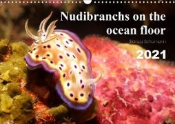 Nudibranchs on the ocean floor (Wall Calendar 2021 DIN A3 Landscape)