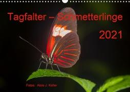 Tagfalter Schmetterlinge (Wandkalender 2021 DIN A3 quer)