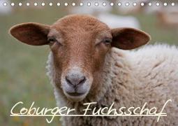 Coburger Fuchsschaf (Tischkalender 2021 DIN A5 quer)