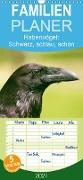 Rabenvögel: Schwarz, schlau, schön - Familienplaner hoch (Wandkalender 2021 , 21 cm x 45 cm, hoch)